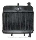 RADIADOR AGUA RIEJU RS1 50 R: 80050335