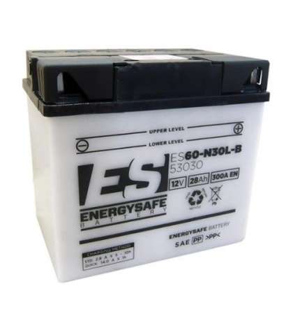 BATERIA ( ESPECIAL BMW ) ENERGYSAFE ES53030 R: 06853030