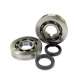 KIT RODAMIENTOS Y RETENES SYM JET 50 / KYMCO DINK 50 / VITALITY 50 / PEOPLE 50 C4 R: KK01013C4