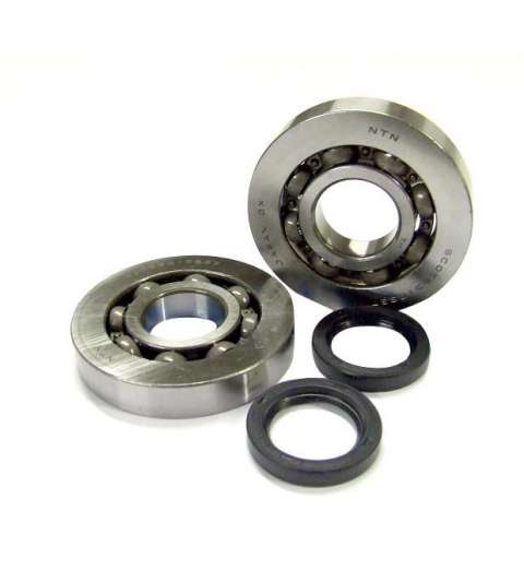 KIT RODAMIENTOS Y RETENES SYM JET 50 / KYMCO DINK 50 / VITALITY 50 / PEOPLE 50 C4 R: KK01013C4