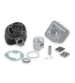 EQUIPO MOTOR KEEWAY F ACT 50 / CPI OLIVER 50 DIÁMETRO PISTÓN 47 MM. ( 70 C.C. ) MALOSSI R: 3113066