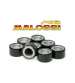 JUEGO RODILLOS 15X12 (3.2 GRAMOS) MALOSSI R: 669417A0