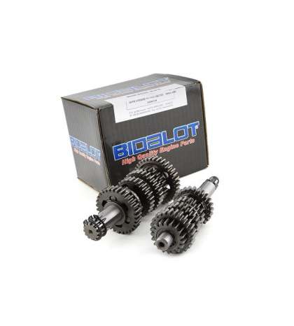 CAJA DE CAMBIOS COMPLETA RACING FACTORY MINARELLI AM 6 BIDALOT R: 33000349