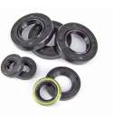 KIT RETENES MOTOR COMPLETO 7 PIEZAS DERBI SENDA E3 ( MOTOR PIAGGIO ) TNT R: 040921A