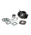 CILINDRO HONDA NSR 75 / MTX 80 / MBX 80 / NSR 80 DIÁMETRO PISTÓN 53 MM ( 90 C.C. ) - MALOSSI - R: 313738