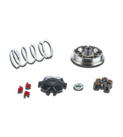 VARIADOR MULTIVAR CPI OLIVER 50, HUSSAR 50 / KEEWAY F ACT 50 / HURRICANE 50 / MATRIX 50 MALOSSI R: 5113363