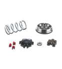 VARIADOR MULTIVAR CPI OLIVER 50, HUSSAR 50 / KEEWAY F ACT 50 / HURRICANE 50 / MATRIX 50 MALOSSI R: 5113363