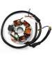 STATOR 6 POLOS VESPA PRIMAVERA ET3 125 76/83 SGR R: 04163009