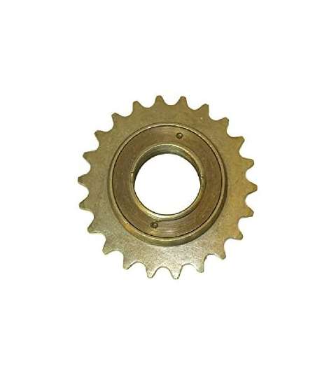 PIÑON BICI 22 DIENTES R: 32004