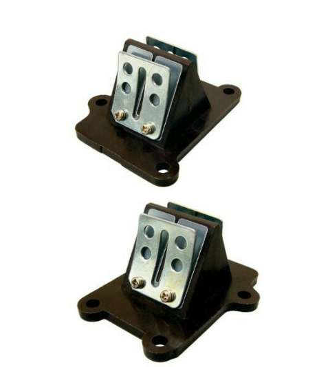 CAJA DE LAMINAS PGO BIG MAX 50 ( FIBRA ) TUNE R: 274214