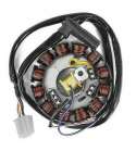 STATOR MOTOR AM 6 50 / YAMAHA TZR 50 - 12 BOBINAS - ( DESDE 2007 ) TNT R: 180310H