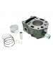 CILINDRO PIAGGIO BEVERLY / MP3 / X7 / X8 / X9 / X-EVO / VESPA GTS 125 C.C. ( MOTOR LEADER LC 125 C.C. ) RB MAX R: 030316J
