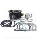 CILINDRO PIAGGIO BEVERLY / MP3 / X7 / X8 / X9 / X-EVO / VESPA GTS 125 C.C. ( MOTOR LEADER LC 125 C.C. ) RB MAX R: 030316J