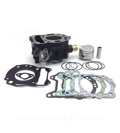 CILINDRO PIAGGIO BEVERLY / MP3 / X7 / X8 / X9 / X-EVO / VESPA GTS 125 C.C. ( MOTOR LEADER LC 125 C.C. ) RB MAX R: 030316J