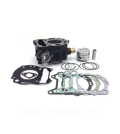 CILINDRO PIAGGIO BEVERLY / MP3 / X7 / X8 / X9 / X-EVO / VESPA GTS 125 C.C. ( MOTOR LEADER LC 125 C.C. ) RB MAX R: 030316J