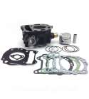 CILINDRO PIAGGIO BEVERLY / MP3 / X7 / X8 / X9 / X-EVO / VESPA GTS 125 C.C. ( MOTOR LEADER LC 125 C.C. ) RB MAX R: 030316J