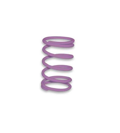 MUELLE POLEA CONDUCIDA VIOLETA PIAGGIO TYPHOON MALOSSI R: 298324V0