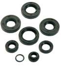 KIT ( 8 PIEZAS ) RETENES MOTOR MINARELLI AM 6 TUNE R: 082105