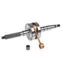CIGUEÑAL RACING EVOLUTIÓN NG DERBI HUNTER / PADDOCK / PREDATOR LC 50 TOP RACING R: 6034090