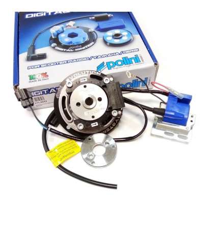 ROTOR MINARELLI HORIZONTAL LC / AC POLINI DIGITAL PVL R: 1710553