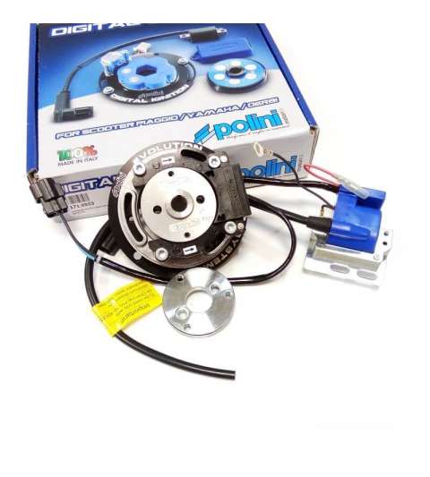 ROTOR MINARELLI HORIZONTAL LC / AC POLINI DIGITAL PVL R: 1710553