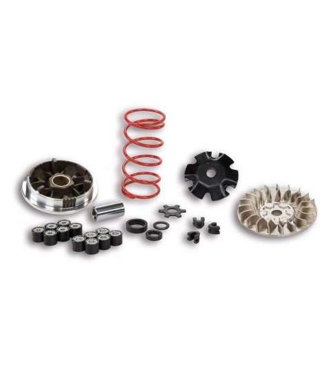 VARIADOR MULTIVAR MOTOR MINARELLI HORIZONTAL / VERTICAL MHR MALOSSI R: 5113161