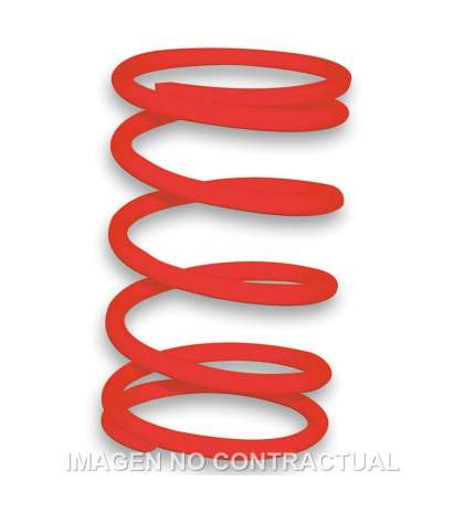 MUELLE POLEA CONDUCIDA ROJO HONDA PCX 125 10/20 MALOSSI R: 2916498.R0