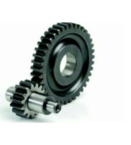 DESARROLLO SECUNDARIO 14/41 TOP RACING AEROX 50 / APRILIA SR 50 R: 6011302