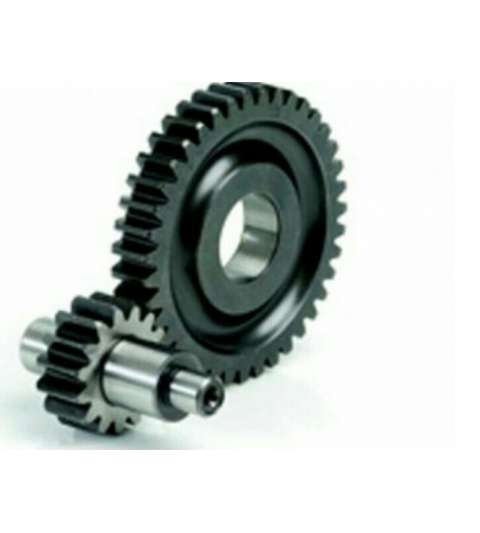 DESARROLLO SECUNDARIO 14/41 TOP RACING AEROX 50 / APRILIA SR 50 R: 6011302
