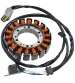 STATOR SUZUKI AN BURGMAN 650 13/18 R: 04163007