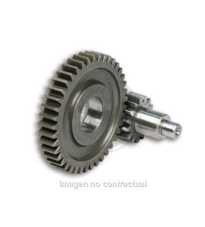 DESARROLLO SECUNDARIO MOTOR MINARELLI 50 - MALOSSI - R: 6714774