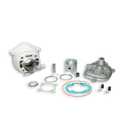 EQUIPOMOTOR MALOSSI MHR RÉPLICA MINARELLI HORIZONTAL LC D.47MM BULÓN 10 R: 318430