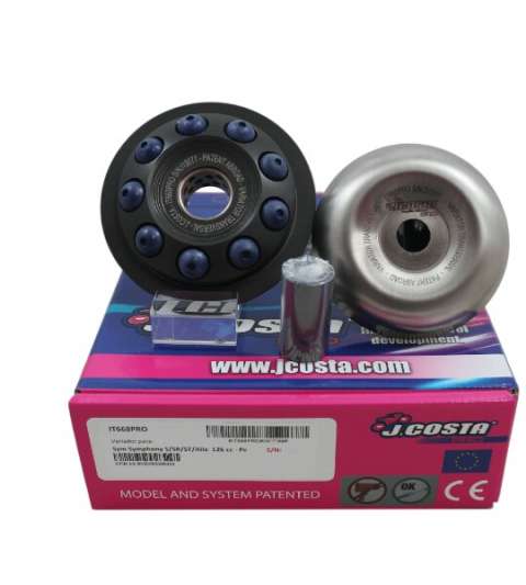 VARIADOR PRO SYM SYMPHONY 125 / PEUGEOT TWEET 125 R: TM147