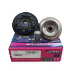 VARIADOR PRO SYM SYMPHONY 125 / PEUGEOT TWEET 125 R: IT668PRO