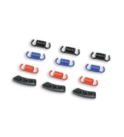 MUELLES MHR EMBRAGUE DELTA CLUTCH MALOSSI R: 298747S