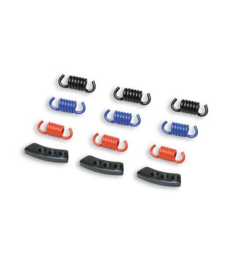 MUELLES MHR EMBRAGUE DELTA CLUTCH MALOSSI R: 298747S