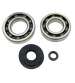 KIT RODAMIENTOS Y RETENES HONDA SH 125/150 C4 R: KK01014C4