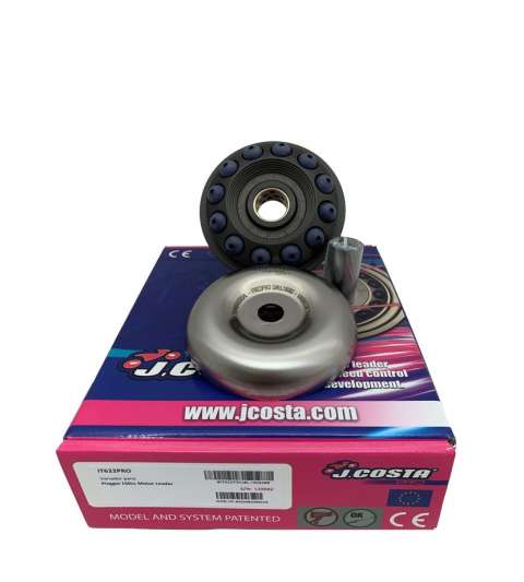 VARIADOR J COSTA PRO PIAGGIO BEVERLY 150 ( MOTOR LEADER ) R: TM36