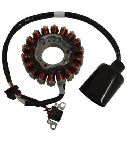 STATOR YAMAHA X-MAX 250 / X CITING 250 SGR R: 04163080
