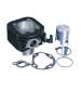 CILINDRO POLINI DE HIERRO FUNDIDO DÍAMETRO 43 M.M. 65 C.C. PIAGGIO 50 VESPINO F9 - VELOFAX R: PLN1160145