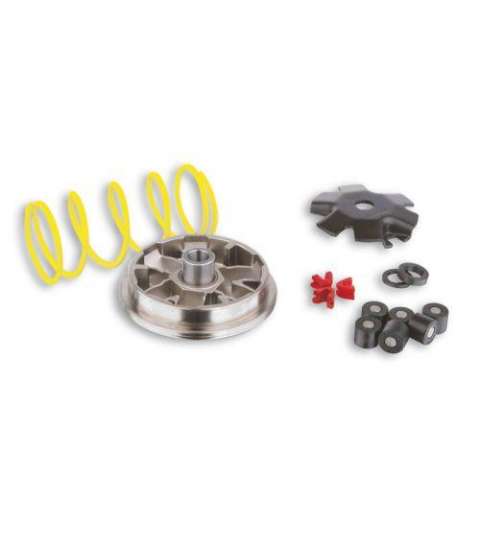VARIADOR MULTIVAR PEUGEOT SV 50 / HONDA BALI - SFX - X8R 50 MALOSSI R: 517117
