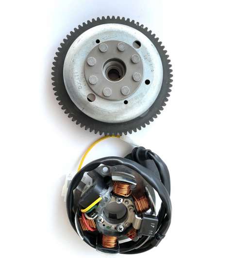 VOLANTE / STATOR APRILIA RS 50 / TZR 50 / DERBI SENDA 50 SGR R: CASGR06