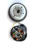 VOLANTE / STATOR APRILIA RS 50 / TZR 50 / DERBI SENDA 50 C.C. - SGR - R: CASGR06