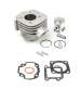 CILINDRO AIRSAL 70 C.C. T6 TP MINARELLI VERTICAL BW'S AC 47,60 R: 021335476