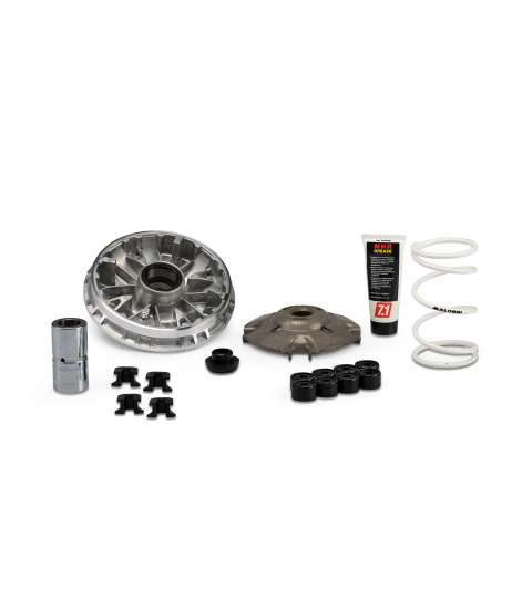 VARIADOR MALOSSI MULTIVAR HONDA SH / FORZA 350 MALOSSI R: 5118980