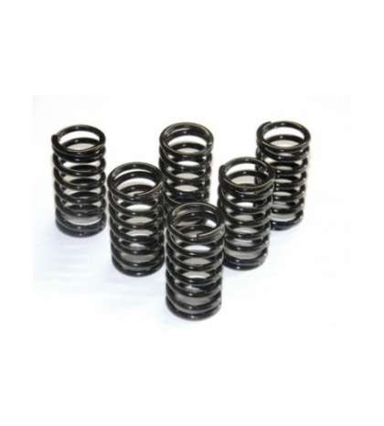 JUEGO MUELLES EMBRAGUE KAWASAKI KX 80 R: CSK 34