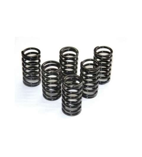 JUEGO MUELLES EMBRAGUE KAWASAKI KX 80 R: CSK 34