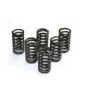 JUEGO MUELLES EMBRAGUE KAWASAKI KX 80 R: CSK 34