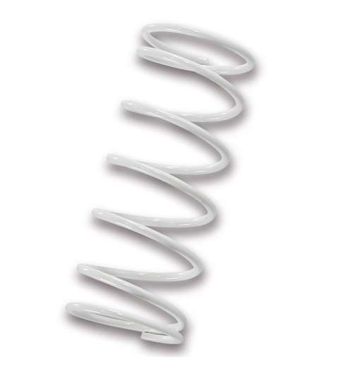 MUELLE POLEA CONDUCIDA MALOSSI BLANCO PIAGGIO 125 R: 2916466W0
