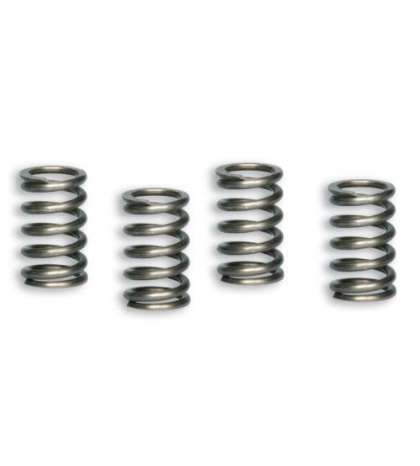 MUELLES EMBRAGUE ORIGINAL PIT BIKE MALOSSI R: 2913126